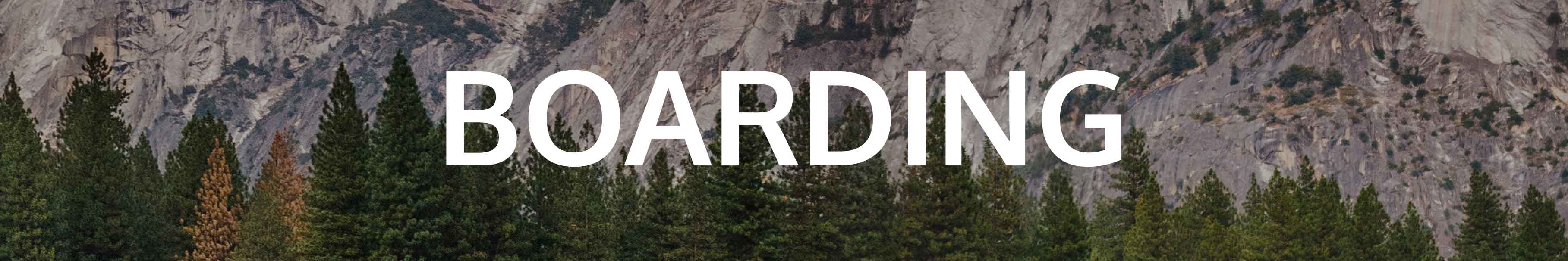 Subheading for Boarding