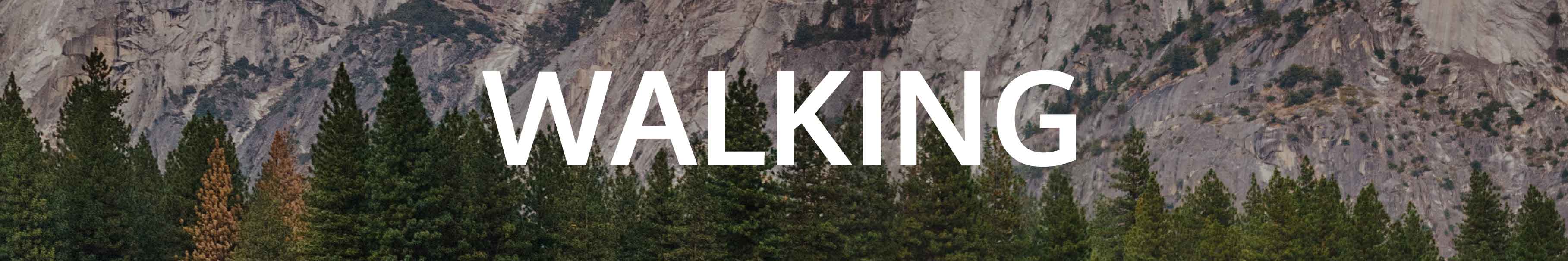 Subheading for Walking